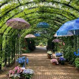 横浜イングリッシュガーデンに投稿された画像（2023/6/10）