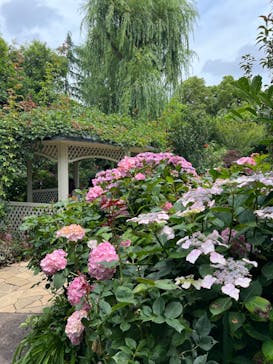 横浜イングリッシュガーデンに投稿された画像（2023/6/10）