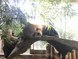 よこはま動物園ズーラシアに投稿された画像（2023/6/10）
