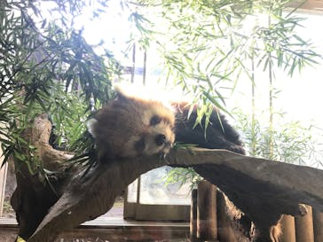 よこはま動物園ズーラシアに投稿された画像（2023/6/10）