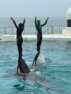 鴨川シーワールドに投稿された画像（2023/6/10）