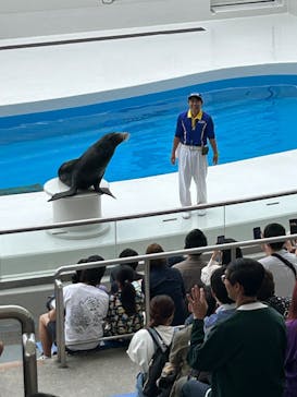 鴨川シーワールドに投稿された画像（2023/6/10）