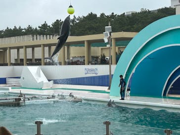 鴨川シーワールドに投稿された画像（2023/6/10）