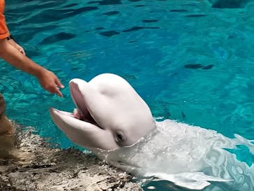 名古屋港水族館に投稿された画像（2023/6/10）