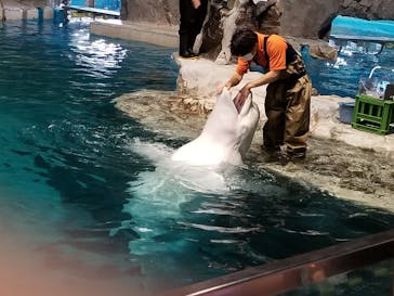 名古屋港水族館に投稿された画像（2023/6/10）