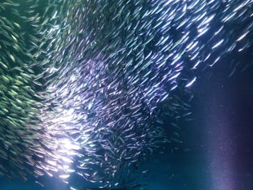 名古屋港水族館に投稿された画像（2023/6/10）