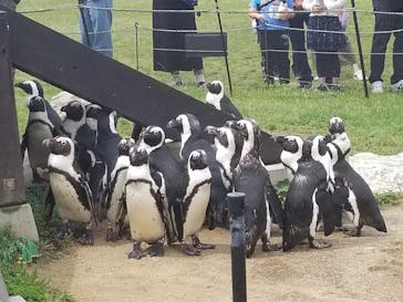 名古屋港水族館に投稿された画像（2023/6/10）
