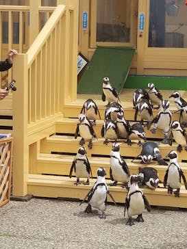 名古屋港水族館に投稿された画像（2023/6/10）