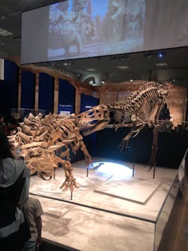 特別展「恐竜博2023」に投稿された画像（2023/6/11）