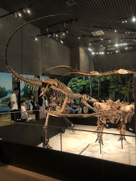 特別展「恐竜博2023」に投稿された画像（2023/6/11）