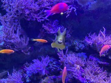 名古屋港水族館に投稿された画像（2023/6/11）