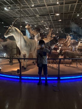 国立科学博物館に投稿された画像（2023/6/11）