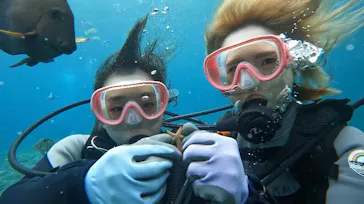 武藤潜水に投稿された画像（2023/6/11）
