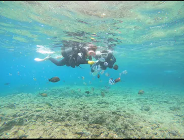 武藤潜水に投稿された画像（2023/6/11）