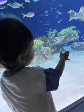 マリンワールド海の中道に投稿された画像（2023/6/11）