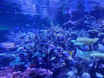 名古屋港水族館に投稿された画像（2023/6/11）