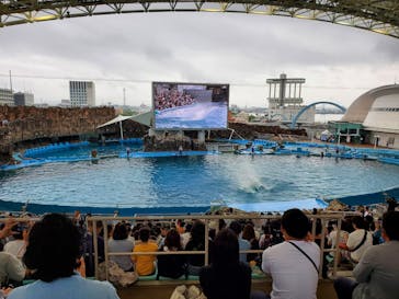 名古屋港水族館に投稿された画像（2023/6/11）