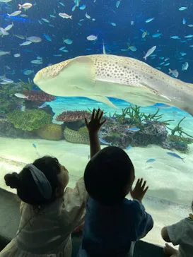 サンシャイン水族館に投稿された画像（2023/6/11）