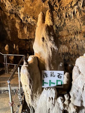 石垣島鍾乳洞に投稿された画像（2023/6/11）