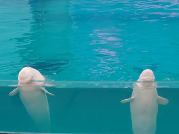 横浜・八景島シーパラダイスに投稿された画像（2023/6/11）