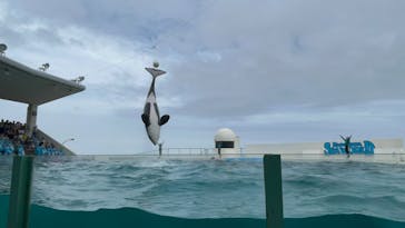 鴨川シーワールドに投稿された画像（2023/6/11）