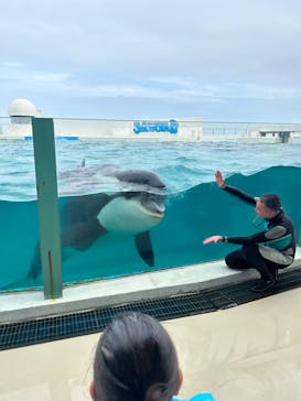 鴨川シーワールドに投稿された画像（2023/6/11）