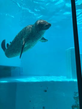 マリンワールド海の中道に投稿された画像（2023/6/11）