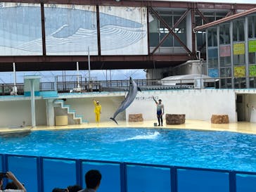 伊豆・三津シーパラダイスに投稿された画像（2023/6/11）