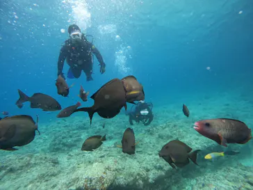武藤潜水に投稿された画像（2023/6/11）