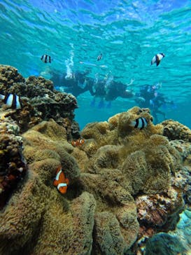 宮古島 ADVENTURE PiPi（ミヤコジマ アドベンチャー ピピ）に投稿された画像（2023/6/11）