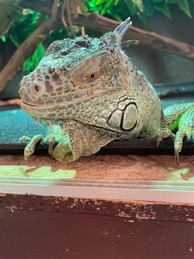 Moff animal cafe イオンモール幕張新都心店に投稿された画像（2023/6/11）