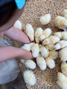 Moff animal cafe MARKIS 福岡ももち店に投稿された画像（2023/6/11）