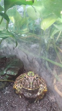 サンシャイン水族館に投稿された画像（2023/6/11）