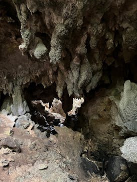 西表島 ADVENTURE PiPi（アドベンチャーピピ）に投稿された画像（2023/6/11）