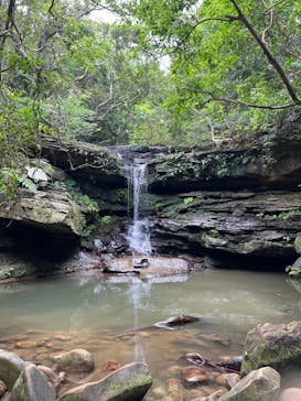 西表島 ADVENTURE PiPi（アドベンチャーピピ）に投稿された画像（2023/6/11）