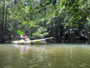 西表島 ADVENTURE PiPi（アドベンチャーピピ）に投稿された画像（2023/6/11）