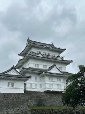 小田原城に投稿された画像（2023/6/11）