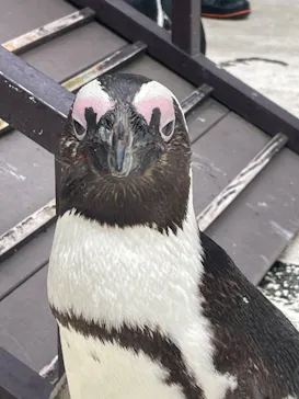 横浜・八景島シーパラダイスに投稿された画像（2023/6/11）
