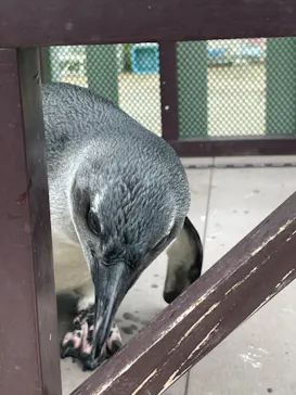 横浜・八景島シーパラダイスに投稿された画像（2023/6/11）