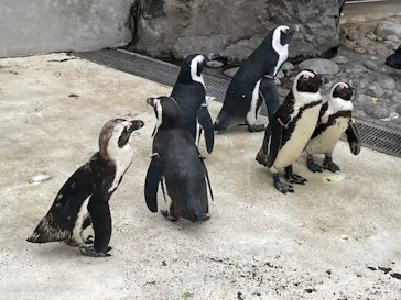 横浜・八景島シーパラダイスに投稿された画像（2023/6/11）
