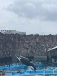名古屋港水族館に投稿された画像（2023/6/11）