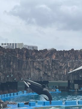 名古屋港水族館に投稿された画像（2023/6/11）