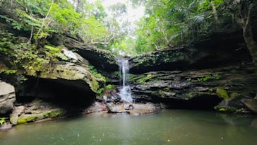 西表島 ADVENTURE PiPi（アドベンチャーピピ）に投稿された画像（2023/6/11）