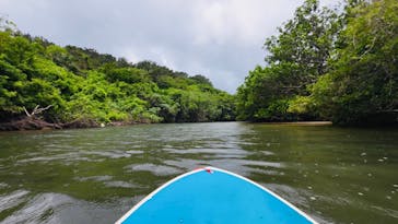 西表島 ADVENTURE PiPi（アドベンチャーピピ）に投稿された画像（2023/6/11）