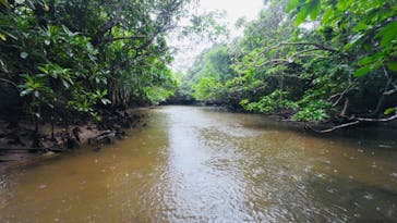 西表島 ADVENTURE PiPi（アドベンチャーピピ）に投稿された画像（2023/6/11）