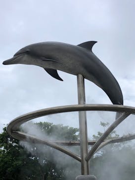 沖縄美ら海水族館に投稿された画像（2023/6/11）