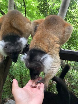 長崎バイオパークに投稿された画像（2023/6/11）