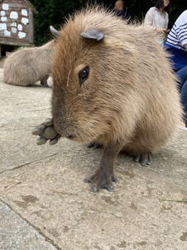 長崎バイオパークに投稿された画像（2023/6/11）
