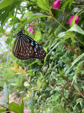 長崎バイオパークに投稿された画像（2023/6/11）