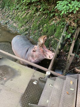 長崎バイオパークに投稿された画像（2023/6/11）